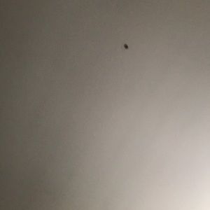 Meet your Posher, Karla